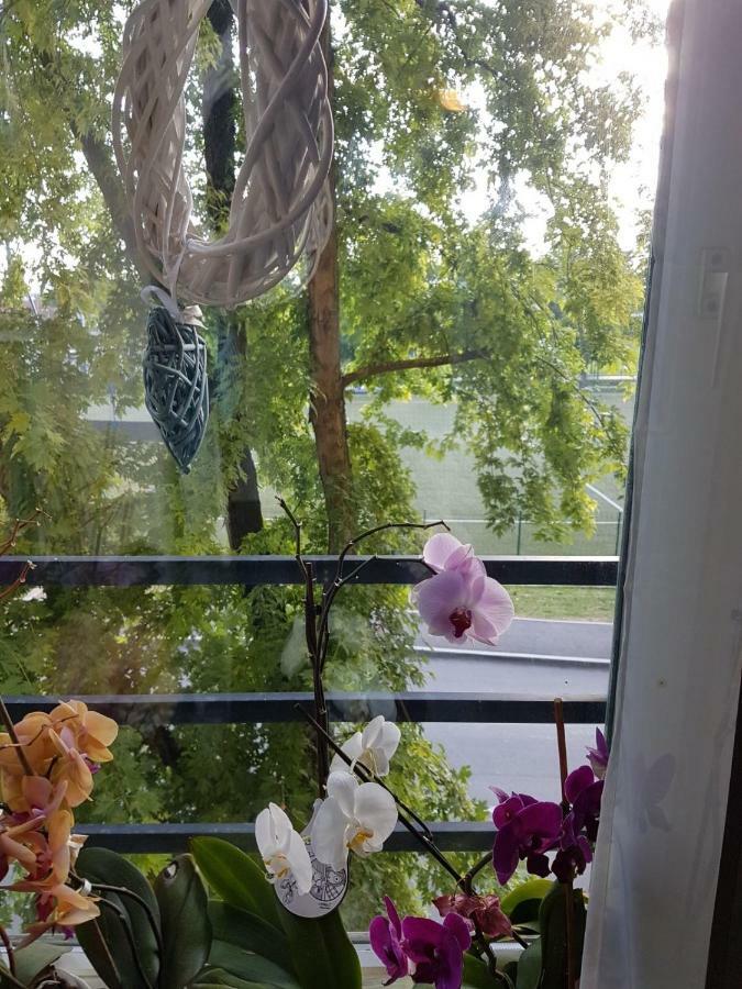 Studio Apartman Zagreb Zapad Vrapce المظهر الخارجي الصورة